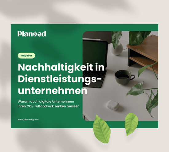 Teaser-Ratgeber-Planted-Nachhaltigkeit Dienstleistungsunternehmen