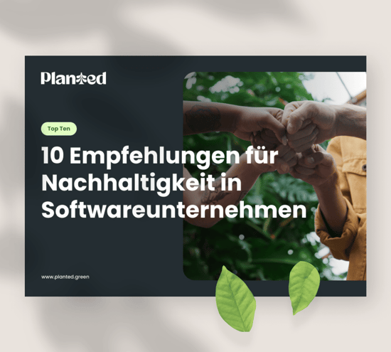 Teaser-Ratgeber-Planted-Tipps für Nachhaltigkeit in Softwarefirmen