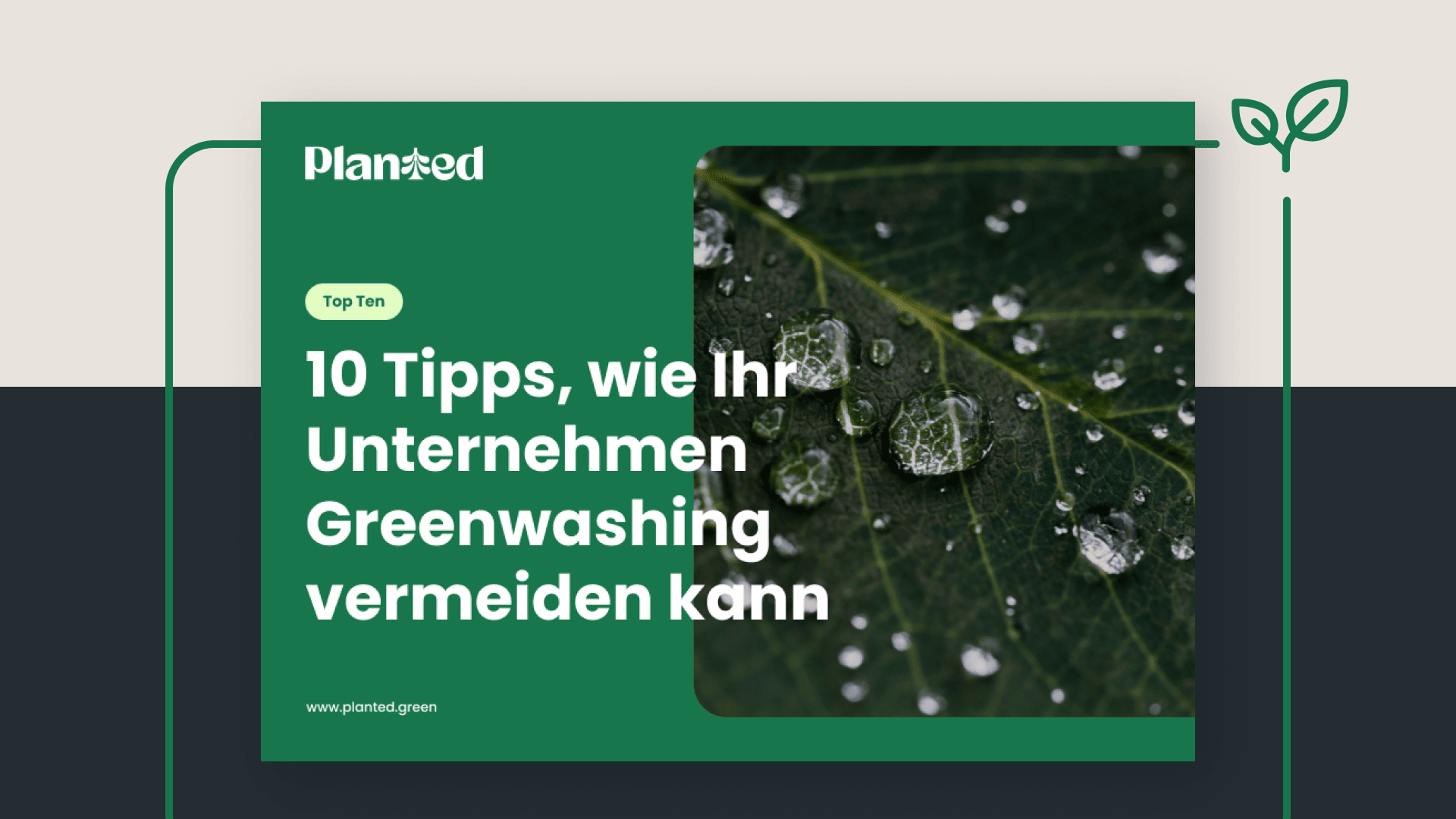 Teaser-Ratgeber-WS Planted-10 Tipps gegen Greenwashing