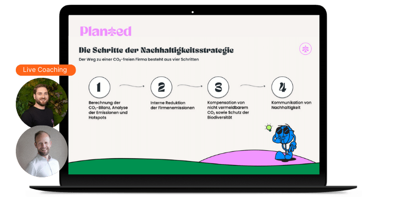 Live Coaching (1)